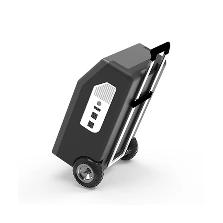 central elèctrica 2000w